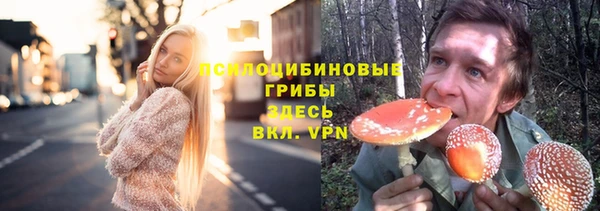 spice Арсеньев